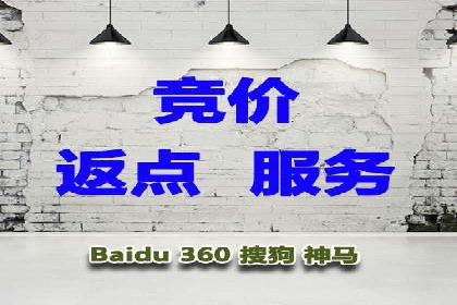 竞价广告案例分析：广告投放成本控制策略